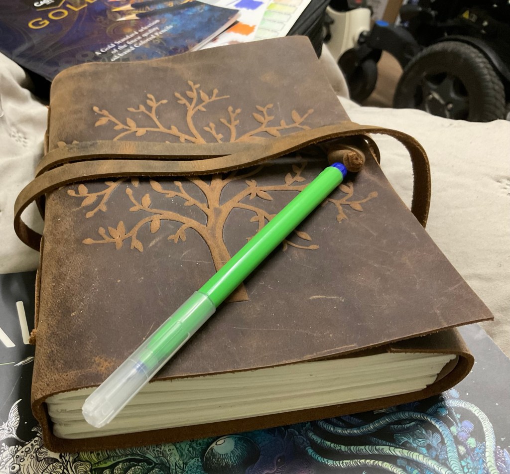 Peek into my secret&nbsp;diary